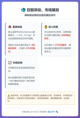 巨鲸两日狂揽2000枚比特币