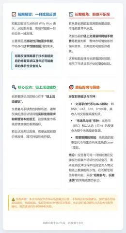 Willy Woo：一月或现短期触底反弹