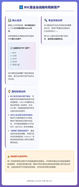 BSC基金会购5万美元哈基米跻身TOP6资产