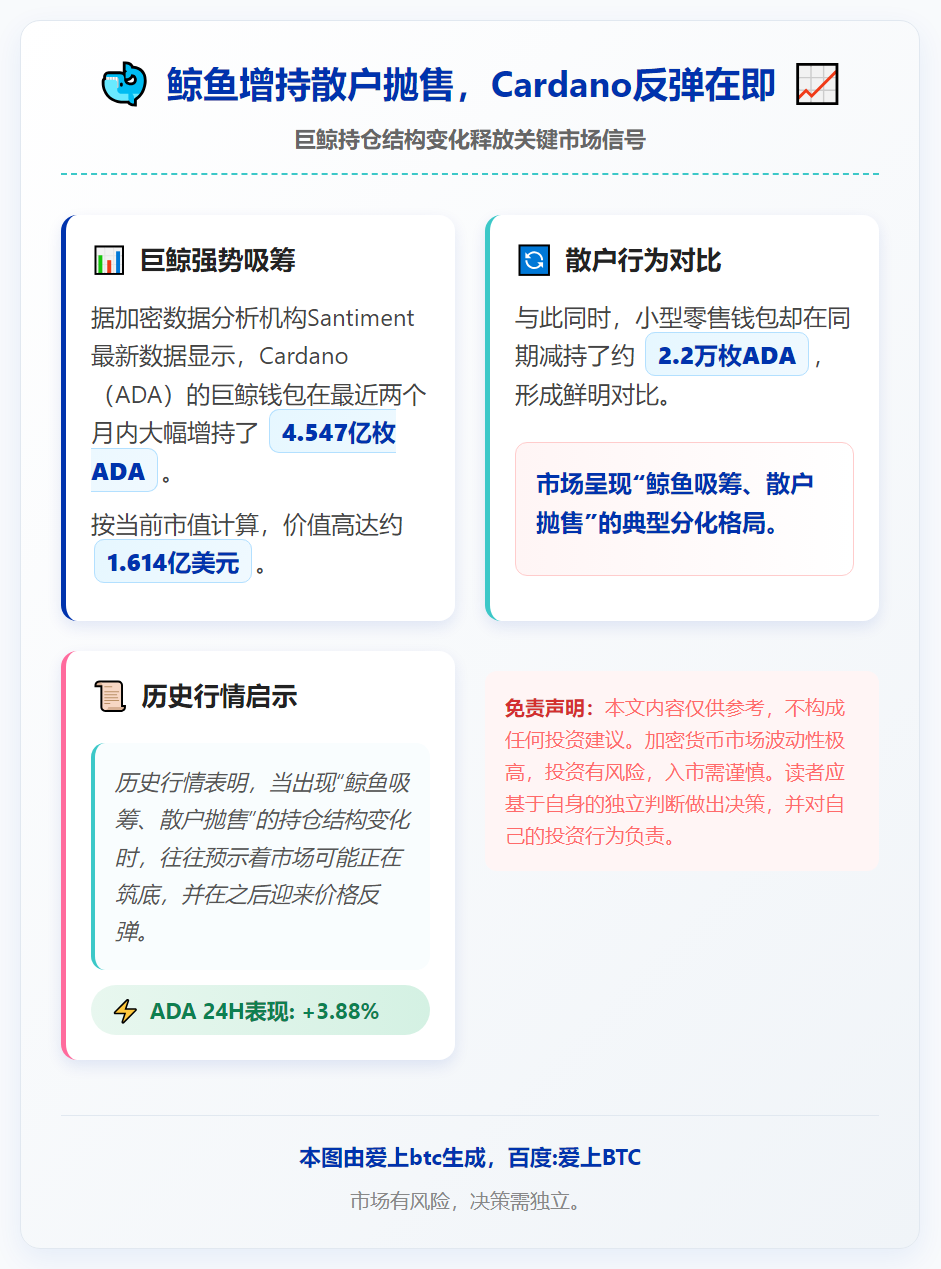 鲸鱼增持散户抛售，Cardano反弹在即