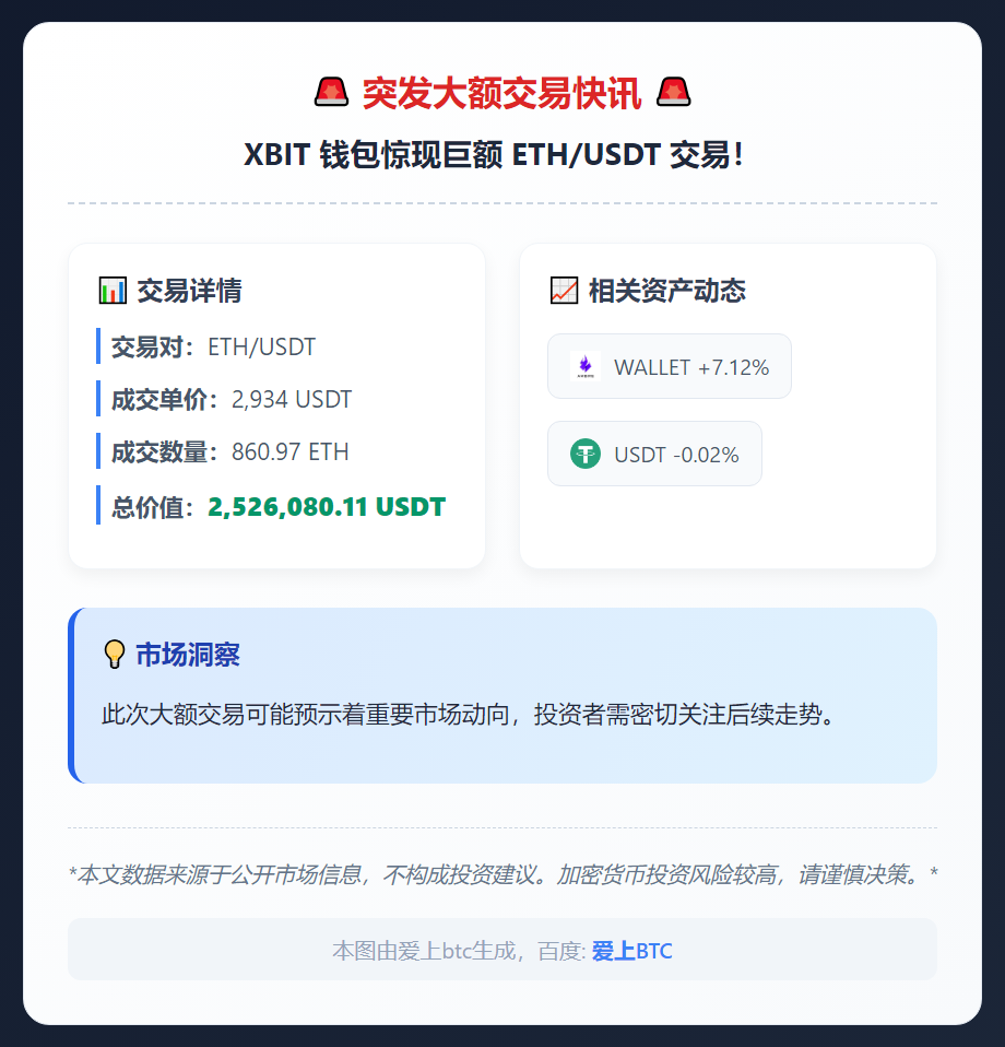 币界网大额交易监控