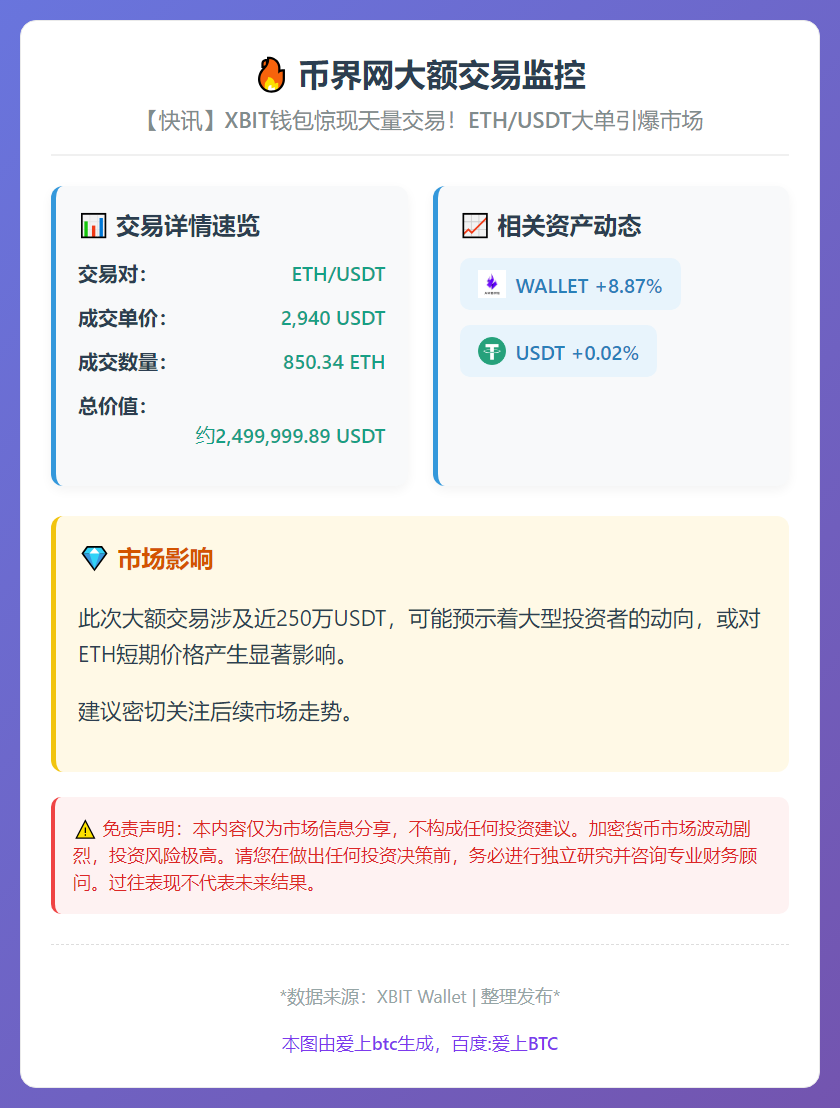 币界网大额交易监控