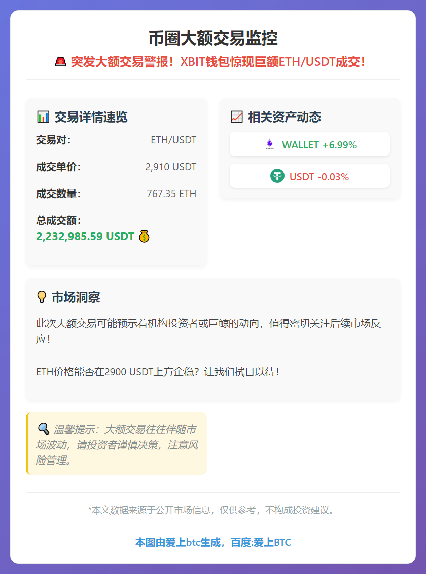 币圈大额交易监控