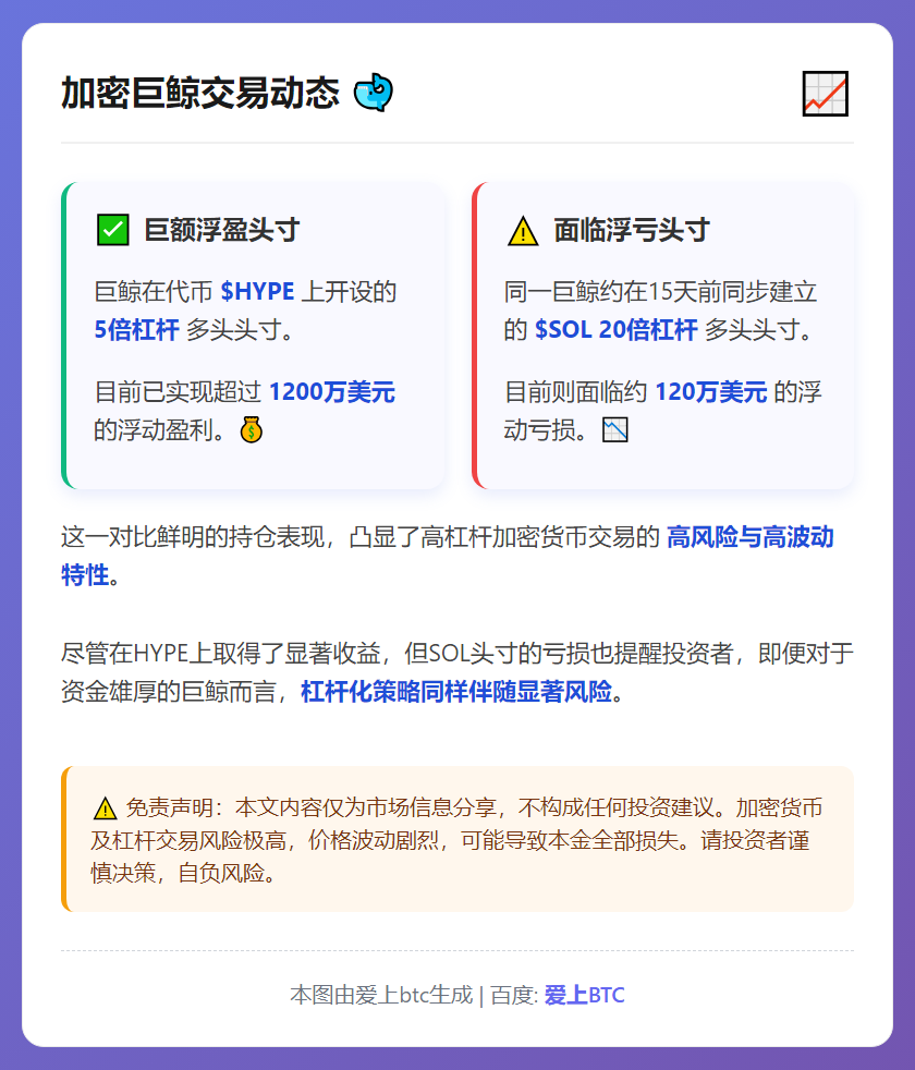 巨鲸$HYPE持仓浮盈超1200万