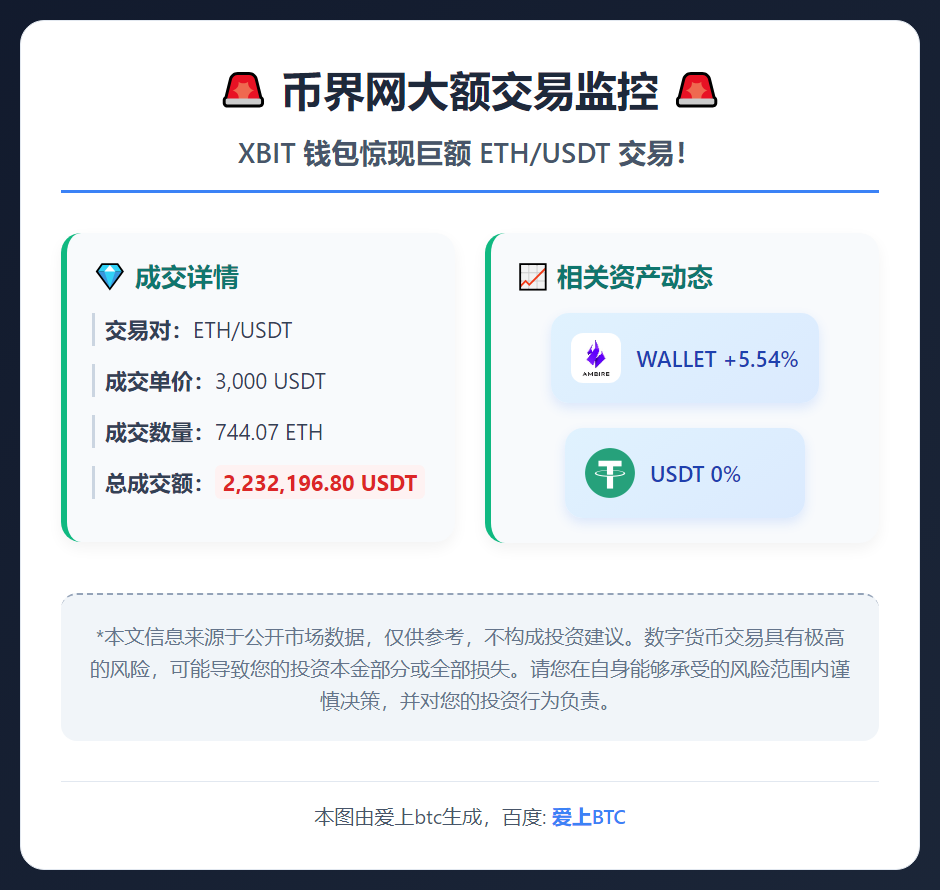 币界网大额交易监控