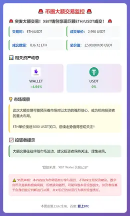 币圈大额交易监控