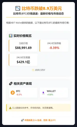 比特币跌破8.9万美元