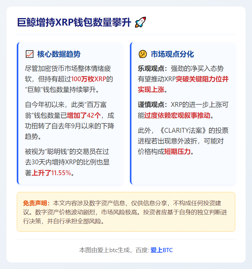 巨鲸增持XRP钱包数量攀升