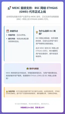 MEXC 支持 BSC 网络 GWEI