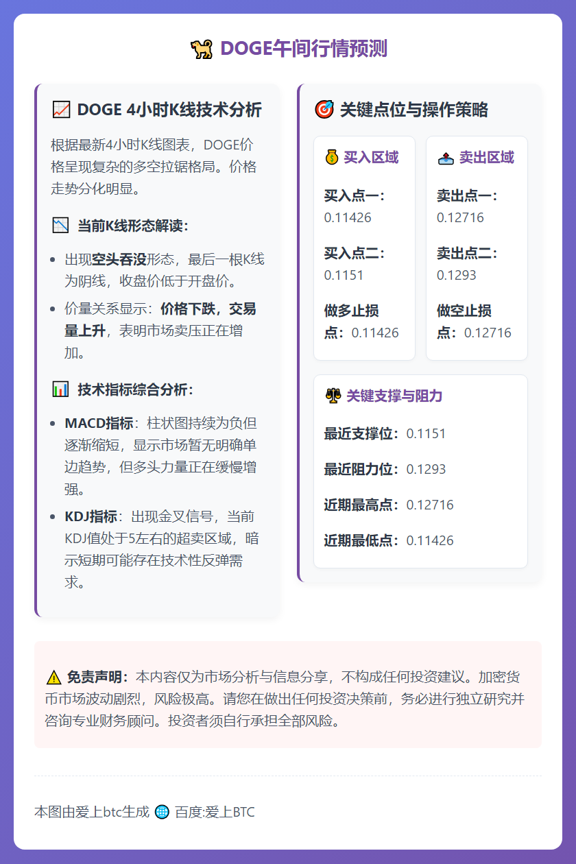 DOGE午间行情预测