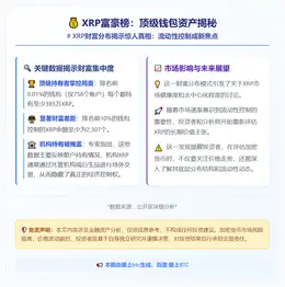 XRP富豪榜：顶级钱包资产揭秘