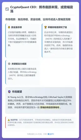 CryptoQuant CEO：熊市底部未现，或宽幅震荡