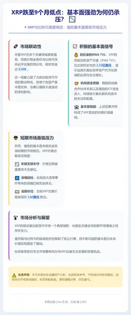 XRP跌至9个月低点：基本面强劲为何仍承压？