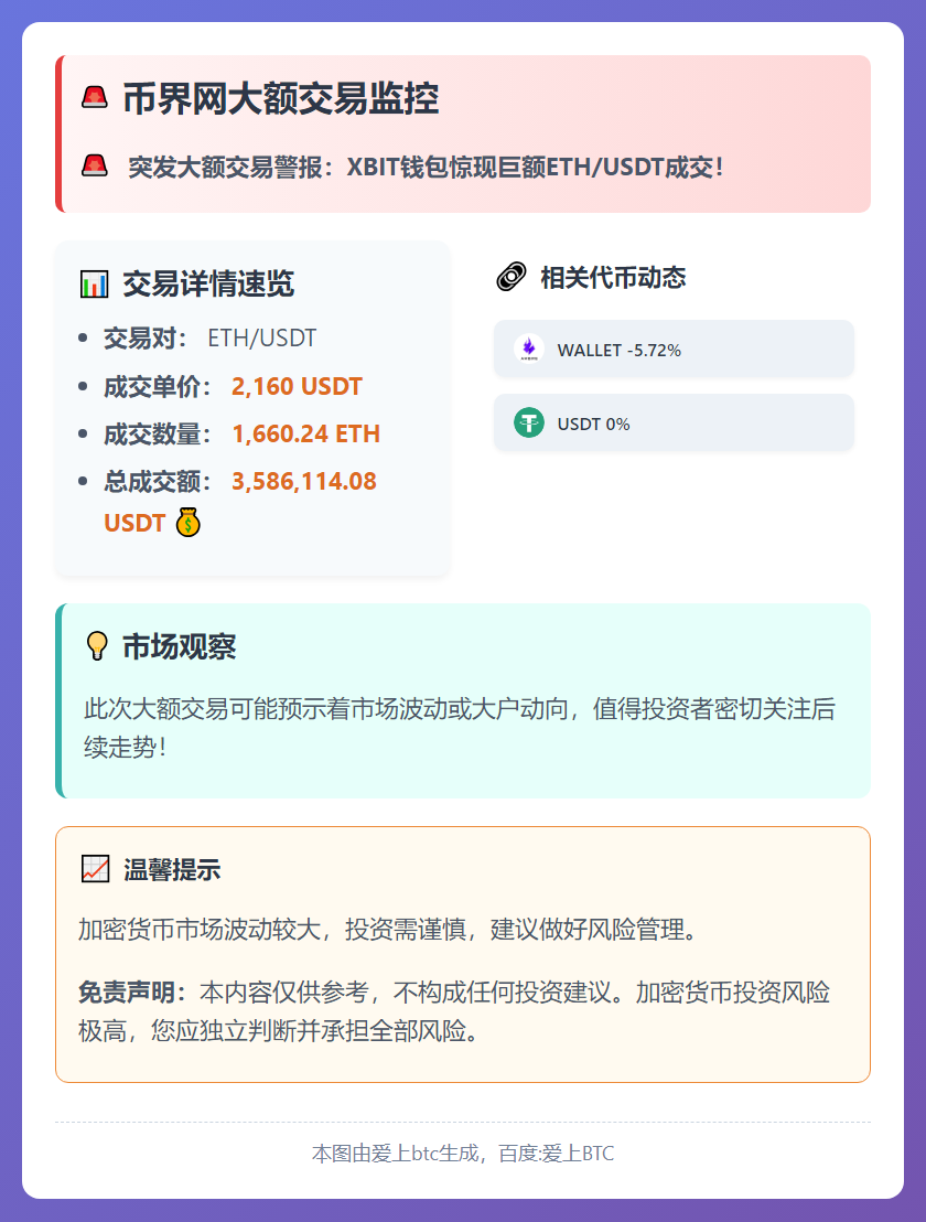 币界网大额交易监控