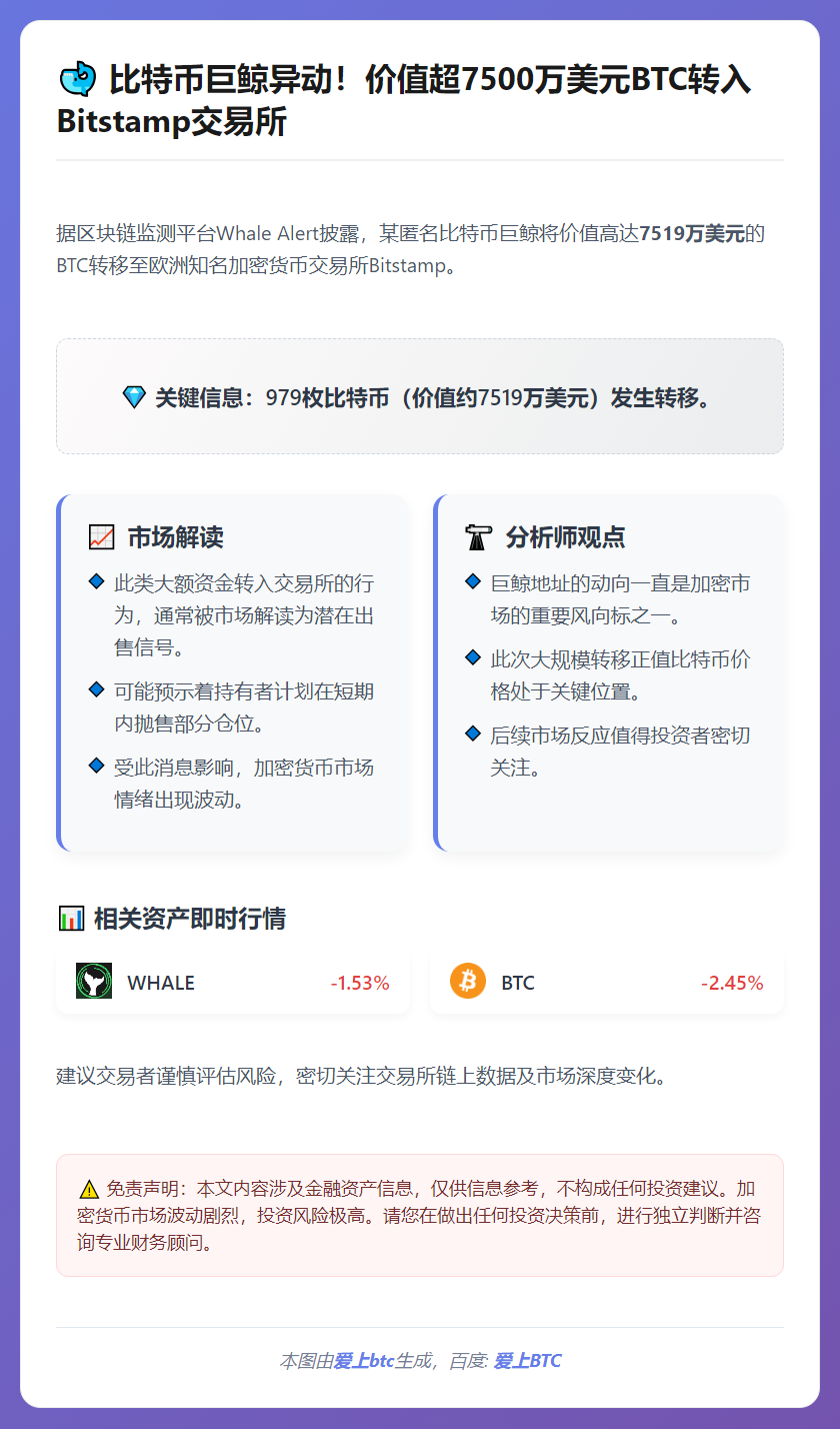巨鲸转移979枚比特币至Bitstamp