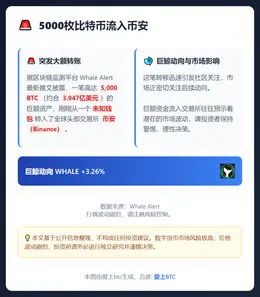 5000枚比特币流入币安