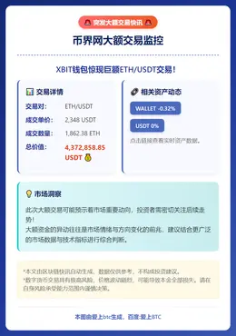 币界网大额交易监控