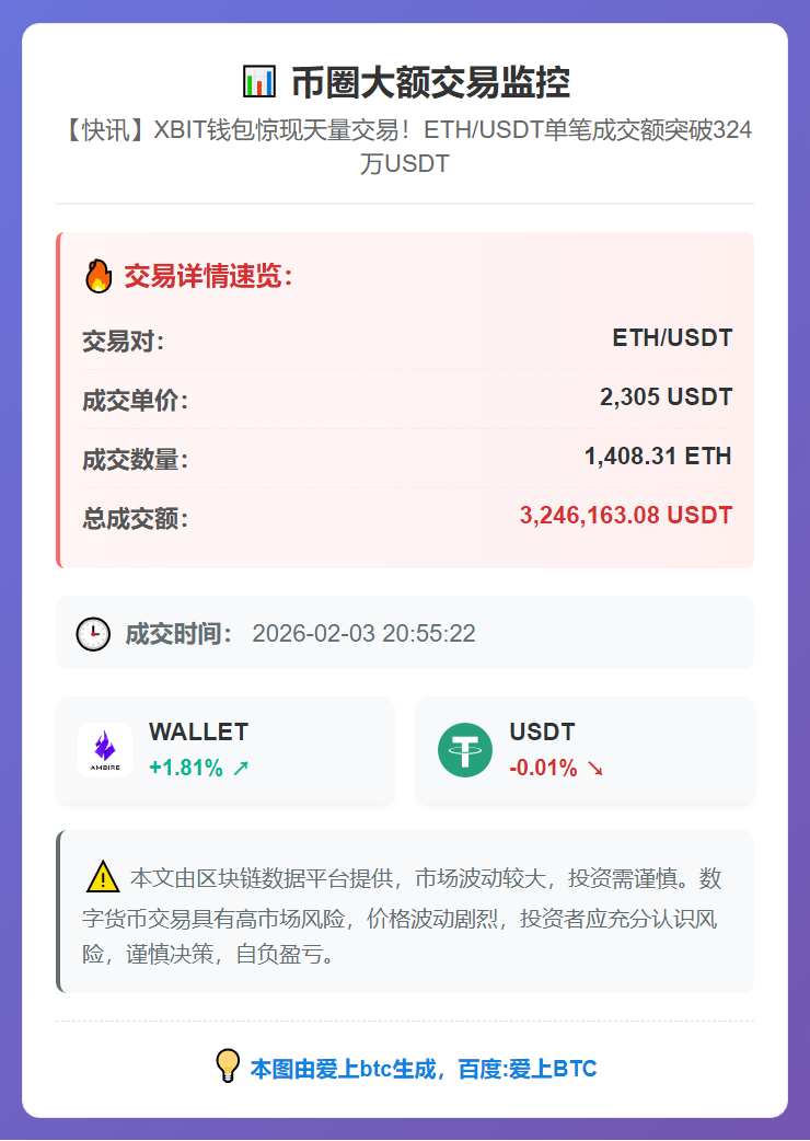币圈大额交易监控