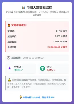 币圈大额交易监控