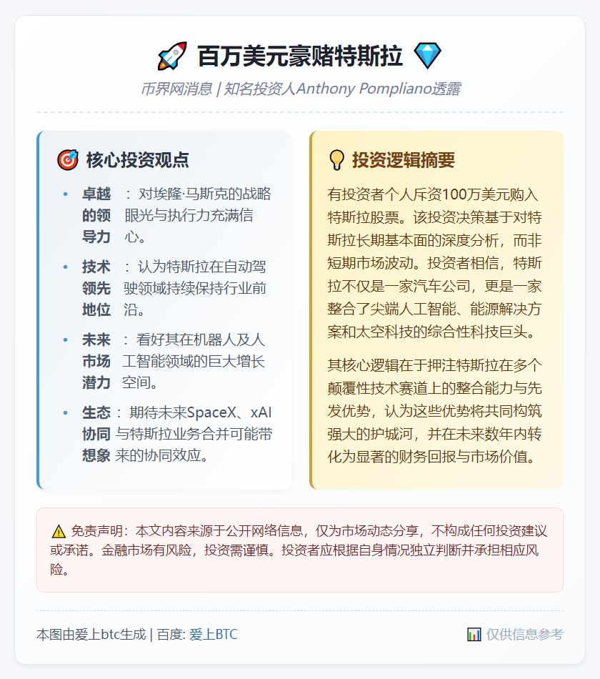百万美元豪赌特斯拉