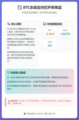BTC永续合约杠杆率降温