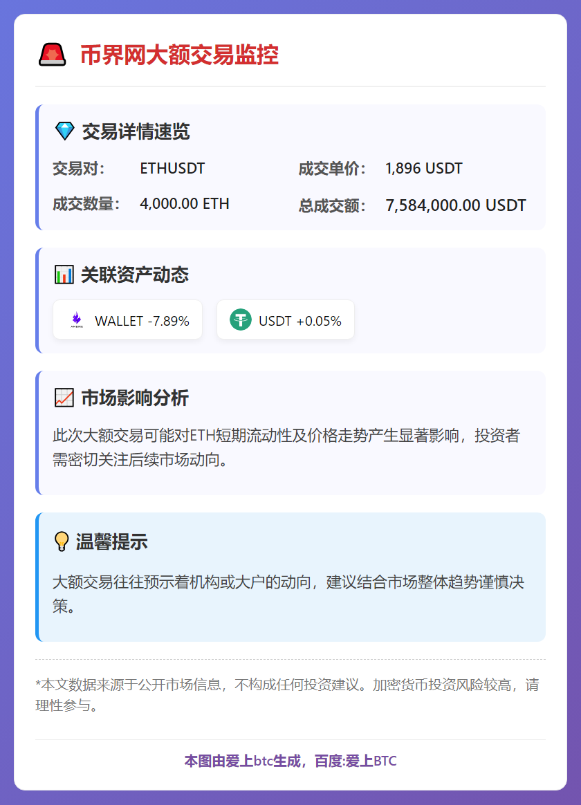 币界网大额交易监控