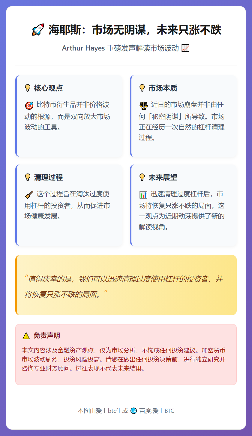 海耶斯：市场无阴谋，未来只涨不跌