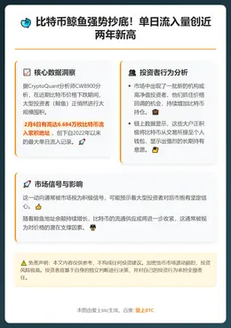 比特币鲸鱼2月6日创两年最大单日流入