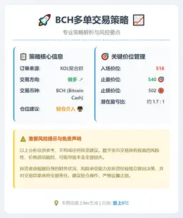 2026-02-11 14:49:13 BCH多单策略