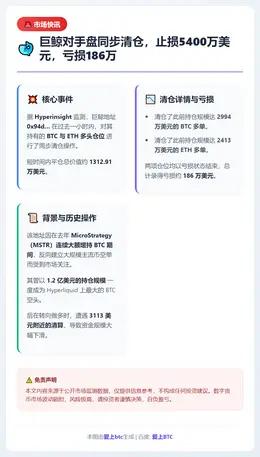 对手盘止损5400万美元，亏损186万