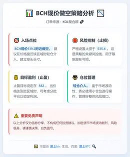 2026-02-12 09:56:27 BCH现价做空策略