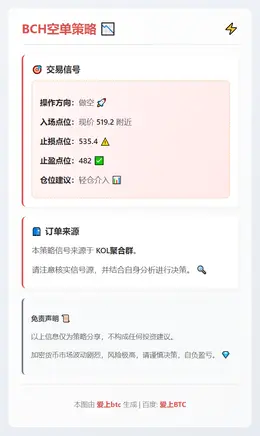 2026-02-12 10:04:22 BCH空单策略