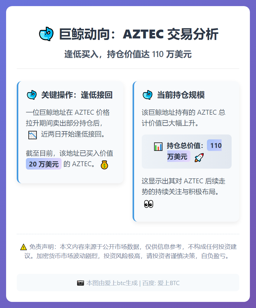 鲸鱼两日囤积20万美元AZTEC