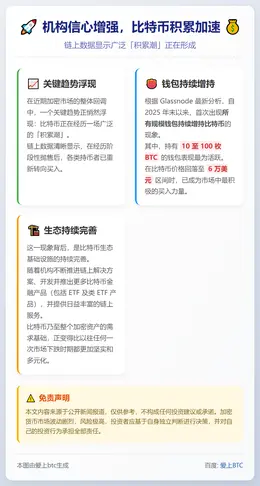 机构信心增强，比特币积累加速