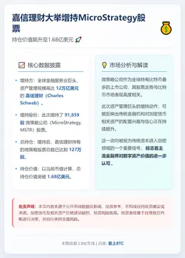 嘉信理财增持Strategy股票超9.1万股，持仓价值1.6