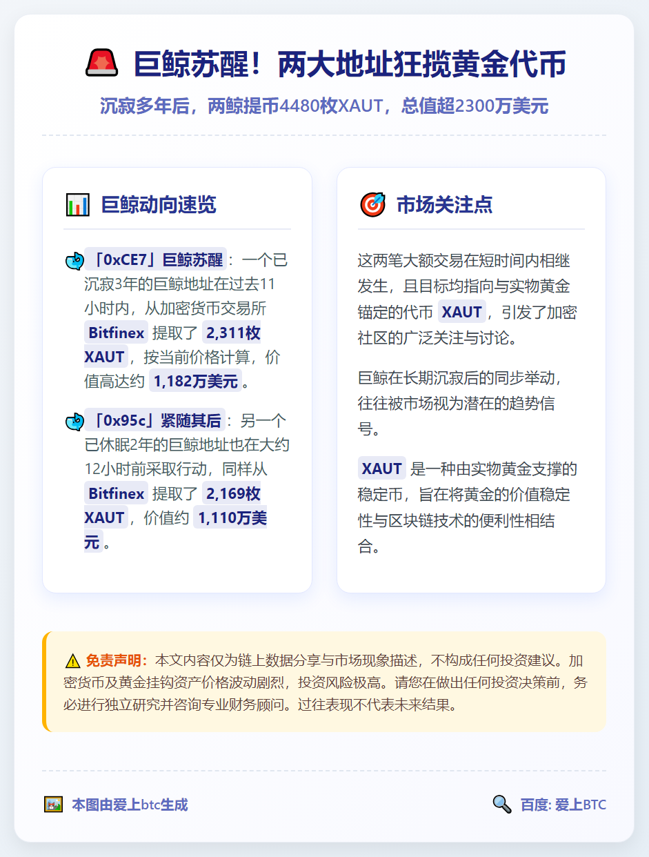 两鲸提币4480枚XAUT