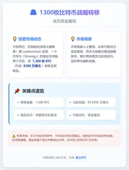 1300枚比特币战略转移，或为资金重组