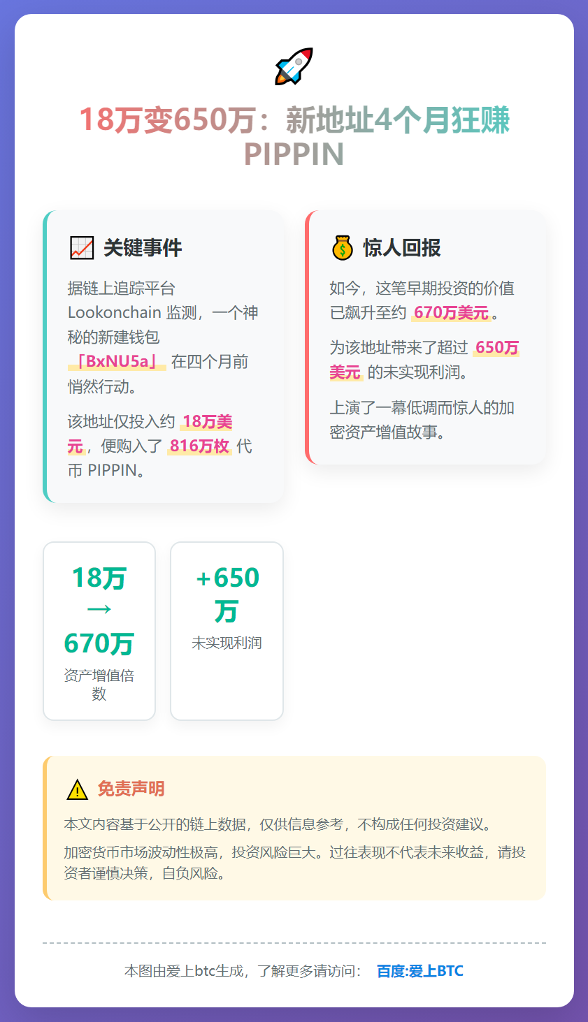 18万变650万：新地址4个月狂赚PIPPIN