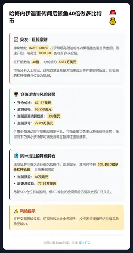 哈梅内伊遇害传闻后鲸鱼40倍做多比特币