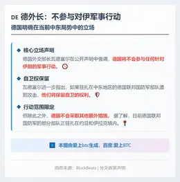 德外长：不参与对伊军事行动
