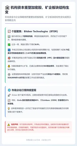机构资本重塑加密股，矿企板块结构生变