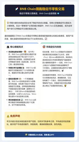 BNB Chain领跑稳定币零售交易