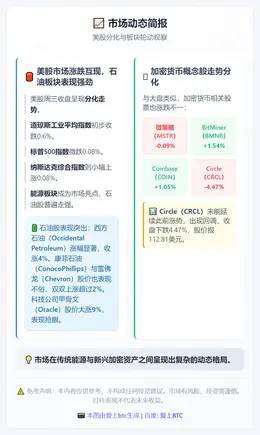 美股分化石油股强，Circle回调