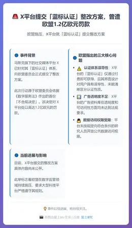 X平台提交「蓝标认证」整改方案，曾遭欧盟1.2亿欧元罚款