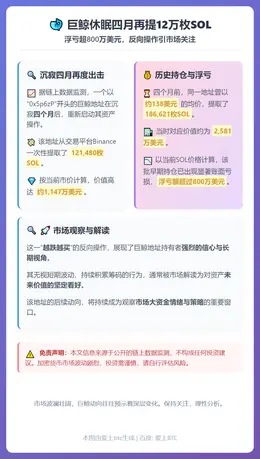 巨鲸休眠四月再提12万枚SOL，浮亏超800万美元