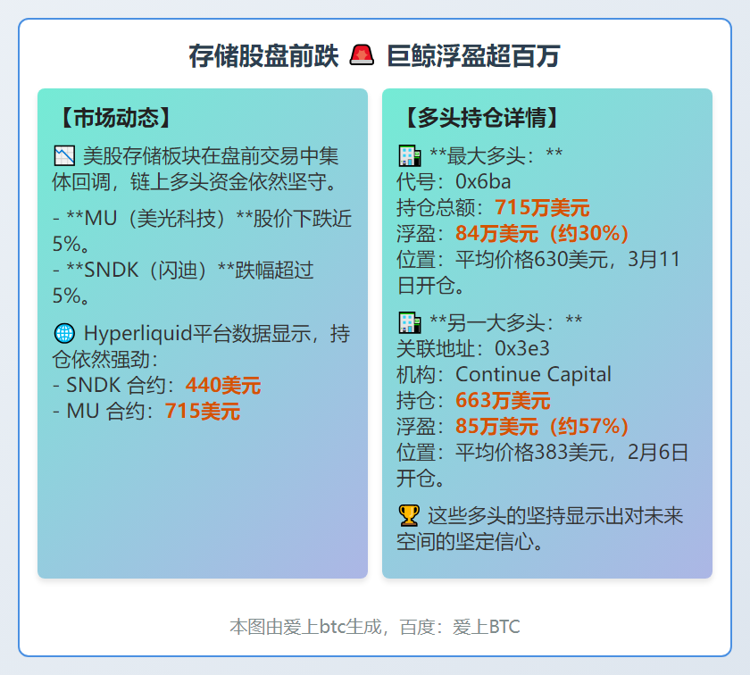 存储股盘前跌 巨鲸浮盈超百万