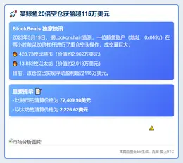 某鲸鱼20倍空仓获盈超115万美元