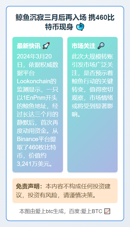 鲸鱼沉寂三月后再入场 携460比特币现身