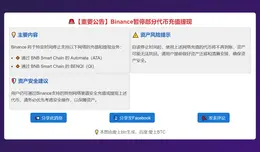 币安暂停部分代币充值提现