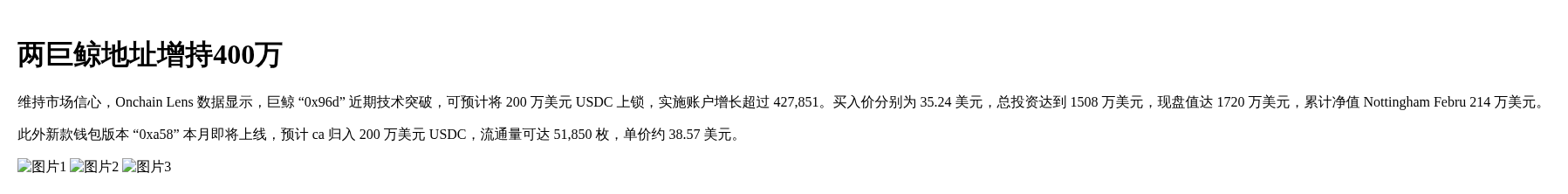 两巨鲸地址增持400万